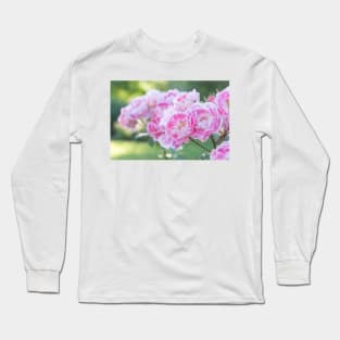 Pink and White Roses in Garden Long Sleeve T-Shirt